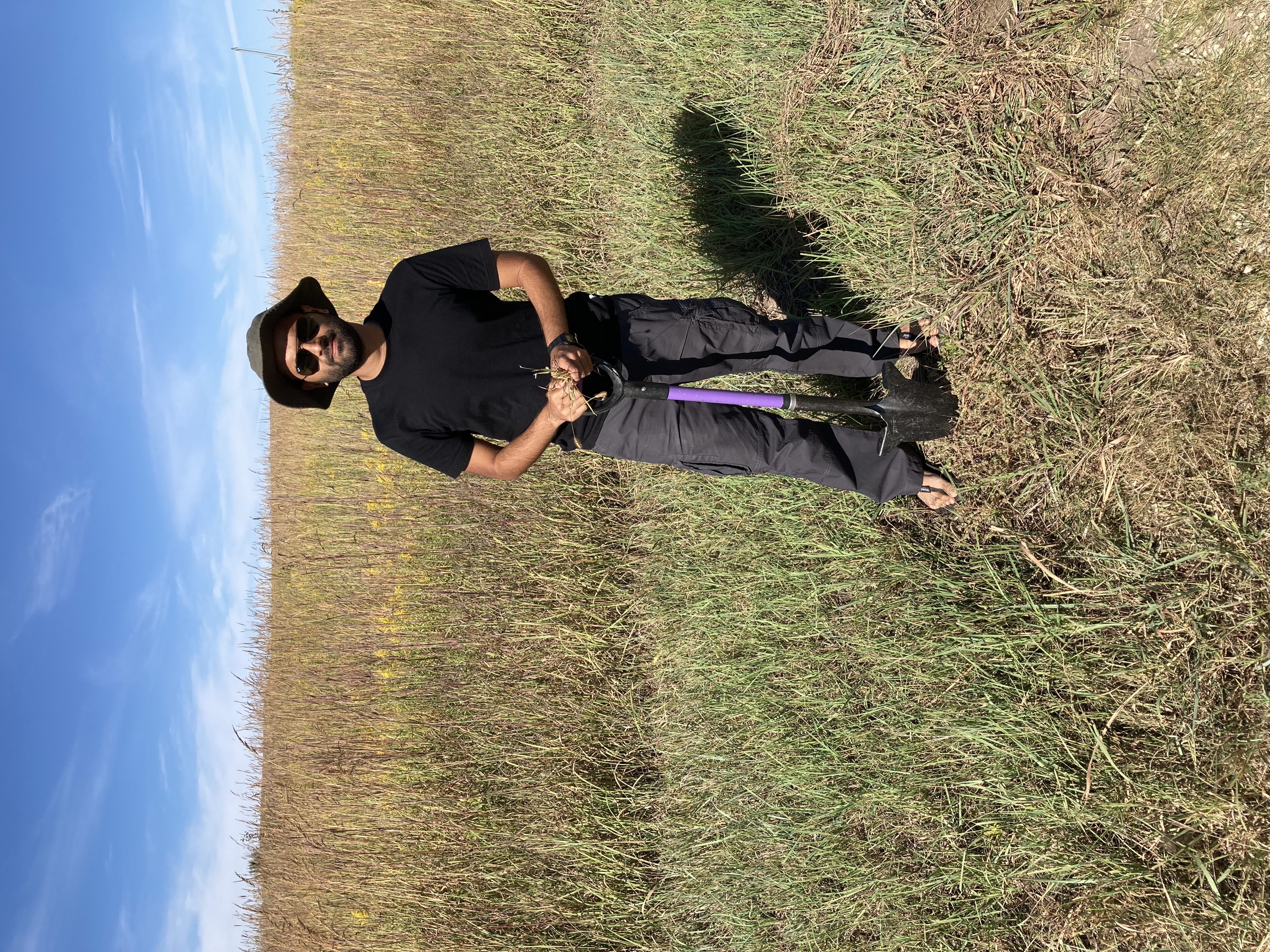Rohit Subhedar